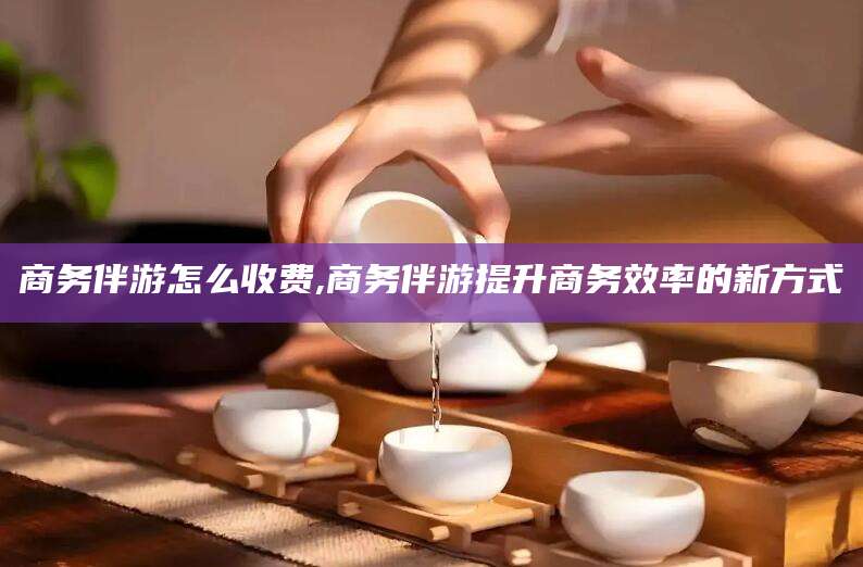 淮北商务伴游怎么收费,商务伴游提升商务效率的新方式